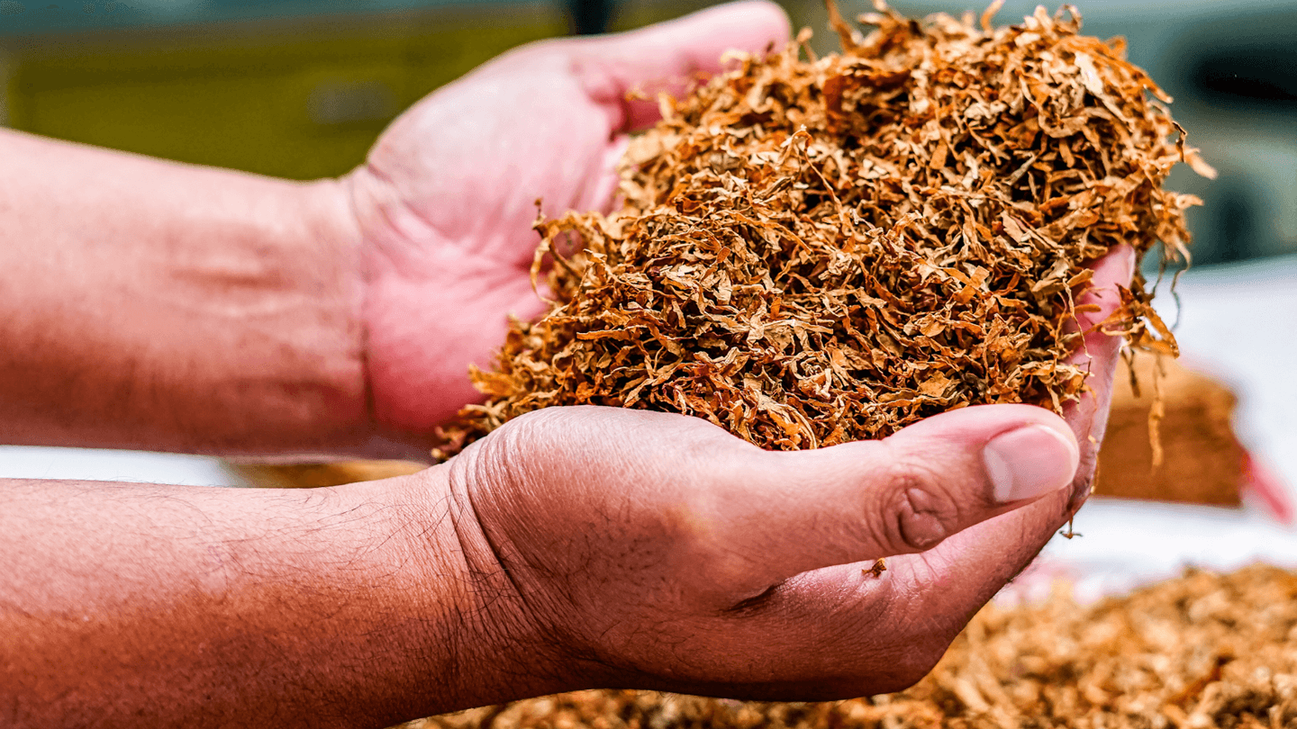 Workplace Gambling: What Employers Should Know