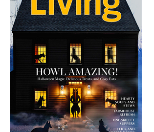 Free subscription Martha Stewart Living magazine