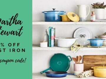 martha stewart cast iron