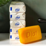 Dial Bar Soap 3-pk Just 65¢ At Publix on I Heart Publix 1