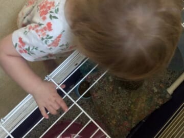 A Peek Into This Past Week