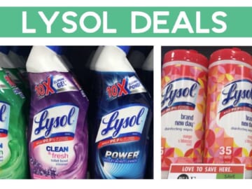 Lysol Printable Coupon | Save on Cleaning Products at Publix