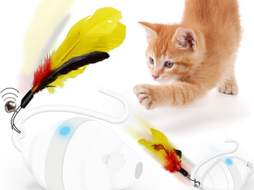 Automatic Cat Toy with Electric Moving Kitten Exercise Feather $9.99 After Code (Reg. $19.99)