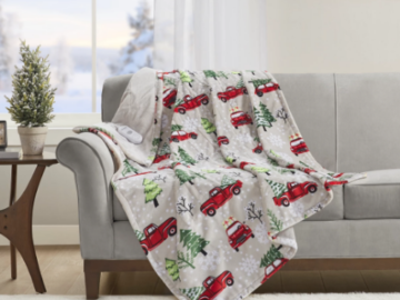 Novelty Printed Heated Plush Throws $29.99 Shipped Free (Reg. $100) | 8 Designs – Includes Holiday Prints!