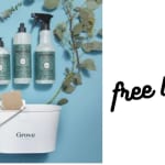 Free Mrs. Meyer’s & Grove Caddy Set