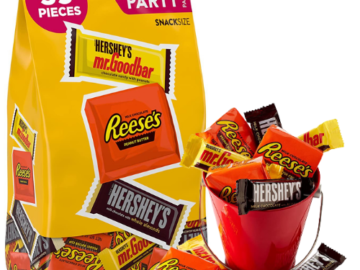 59-Count HERSHEY’S and REESE’S Nut Lover’s Chocolate Assortment Candy $9.98 (Reg. $24.25) | 17¢ each candy! Bulk Hallo ween Candy