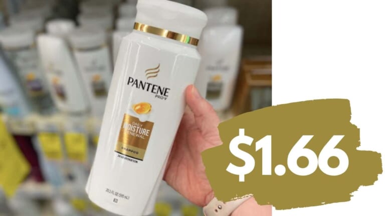 Pantene Hair Care for $1.66 at Walgreens
