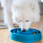 HUGE Savings on Dog Toys!