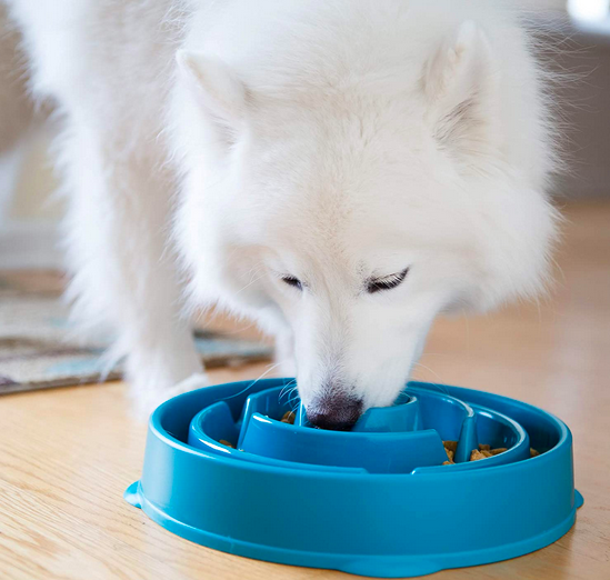 HUGE Savings on Dog Toys!