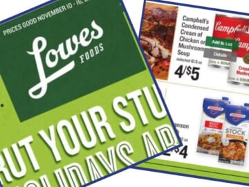 lowes foods weekly ad