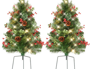 Set of 2 Pre-Lit Pathway Christmas Trees for $49.99 shipped!