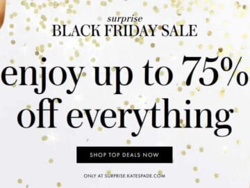 kate spade surprise sale