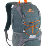 Ozark Trail 20L Thomas Hollow Backpack with Insulated Cooler Pocket