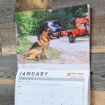 FREE 2022 Saw Dogs Calendar