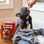 Milk-Bone Dog Treats As Low As $2.39 At Publix
