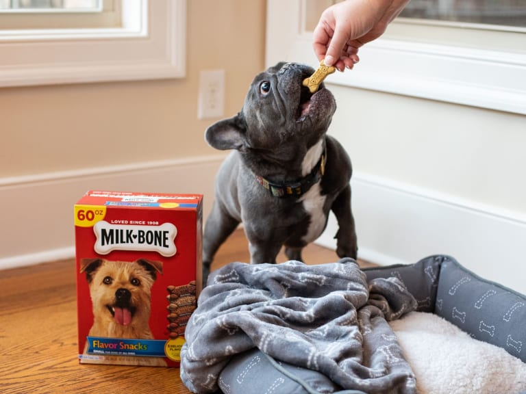 Milk-Bone Dog Treats As Low As $2.39 At Publix