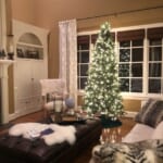 Our December Bucket List