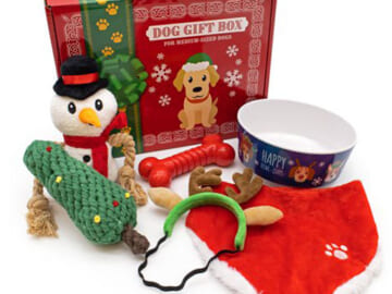 Holiday Gift Box for Dogs $9.97 (Reg. $19.97)