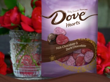 DOVE PROMISES Valentine Milk and Dark Chocolate Candy Hearts Variety Mix $6.98 (Reg. $10.80) – 19.52-Ounce Bag
