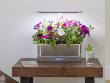 AeroGarden Harvest Elite Slim Indoor Garden with LED Grow Light $81.27 Shipped Free (Reg. $179.95)