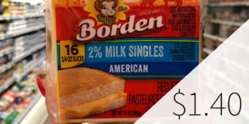 Borden Cheese Only $1.75 Per Pack At Publix