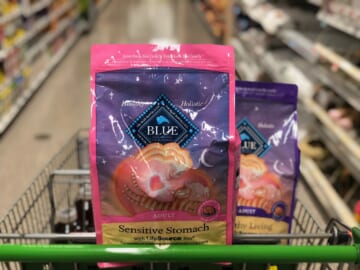 Bags Of Blue Buffalo Cat Food Just $11.99 At Publix (Reg $20.99)