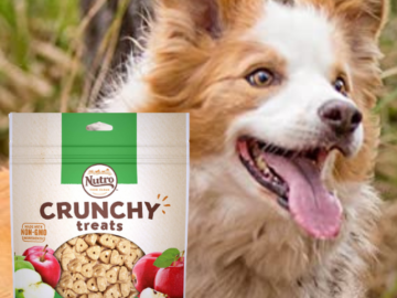 Nutro Crunchy Natural Biscuit Dog Treats, 16 Oz. as low as $6.89 Shipped Free (Reg. $15.99) – FAB Ratings! 15.9K+ 4.8/5 Stars!