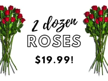 Amazon Deal | 2 Dozen Roses For $19.99