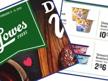 lowes foods weekly ad