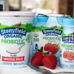 Your Favorite Stonyfield Organic Yogurt Products Are BOGO This Week At Publix on I Heart Publix
