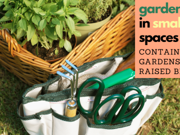 Gardening in Small Spaces: Container Gardens & Raised Beds