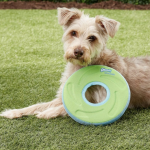 ChuckIt! Dog Frisbee for just $5.39 shipped! (Reg. $14)