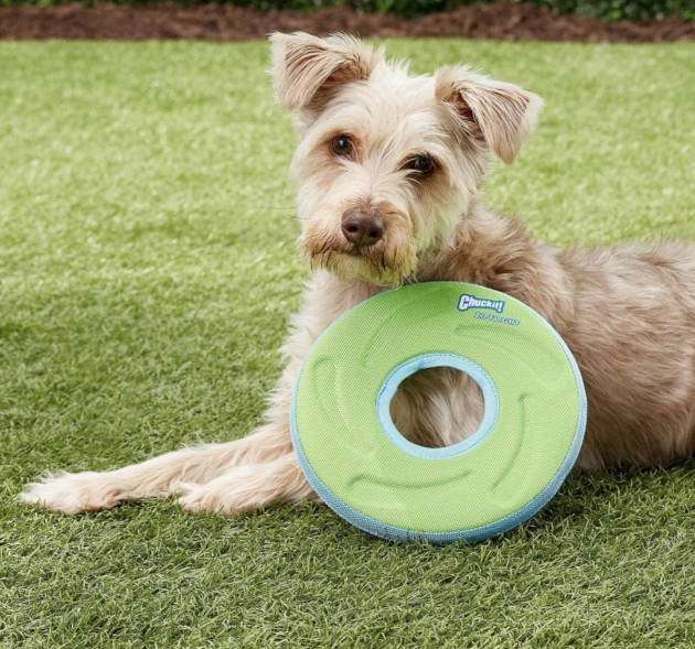 ChuckIt! Dog Frisbee for just $5.39 shipped! (Reg. $14)