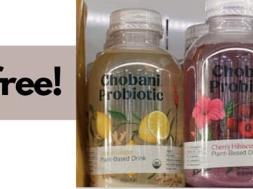 FREE Chobani Probiotic Beverage at Publix