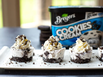 New Breyers Coupons Makes Ice Cream As Low As $2.05 At Publix