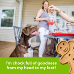 Buddy Biscuits Oven Baked Healthy Dog Treats, 3.5 Oz Bag as low as $5.22 Shipped Free (Reg. $14) – FAB Ratings! 12K+ 4.7/5 Stars!