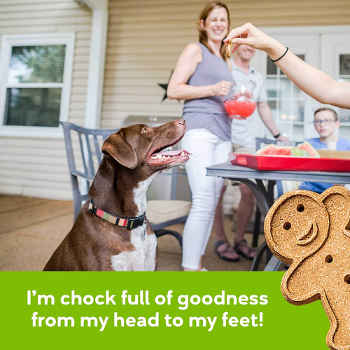 Buddy Biscuits Oven Baked Healthy Dog Treats, 3.5 Oz Bag as low as $5.22 Shipped Free (Reg. $14) – FAB Ratings! 12K+ 4.7/5 Stars!