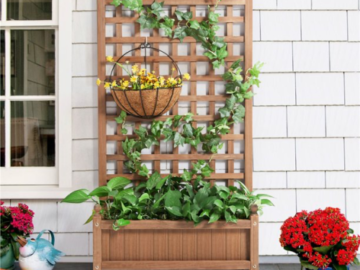 Light up Your Outdoor Space with this FAB Wood Garden Bed for Climbing Plants, Just $83.99 + Free Shipping!
