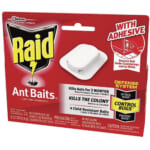 4-Pack Raid Ant Killer Baits as low as $2.78 Shipped Free (Reg. $3.63) | 69¢ each! For Household Use, Child Resistant