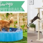 Chewy | 50% Off Pet Furniture & More