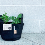 Whole Foods: Free Planting Kit on May 7, 2022