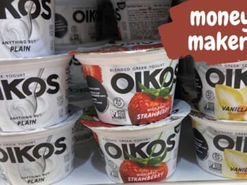 Oikos Yogurt Money Maker at Publix!