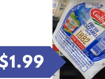 Galbani Cheese Deal = 8 oz. Mozzarella for $1.99