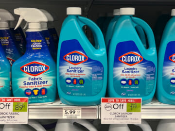 Clorox Fabric Sanitizer Spray As Low As $2.05 At Publix (Plus Cheap Laundry Sanitizer)