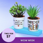 *HOT* Colorful Planters for $3.50 each + shipping! (Great Gift Ideas!!)