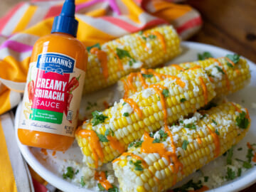 Get Hellmann’s Drizzle Sauce As Low As FREE At Publix