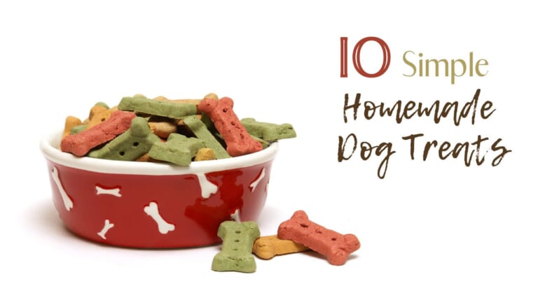 10 Simple Homemade Dog Treats
