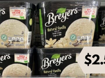 $2.59 Breyers Ice Cream at Publix