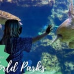Up to 52% Off Admission to SeaWorld Parks