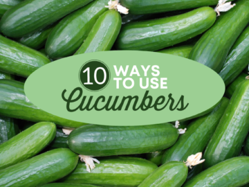 10 Delicious Ways to Use Cucumbers